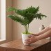 Artificial Palm Plant with Plastic Pot – Realistic Green Artificial Palm Plant with Plastic Pot – Realistic Green