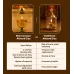 Golden Premium Akhand Diya 220ml Decorative Oil Lamp Golden Premium Akhand Diya 220ml Decorative Oil Lamp